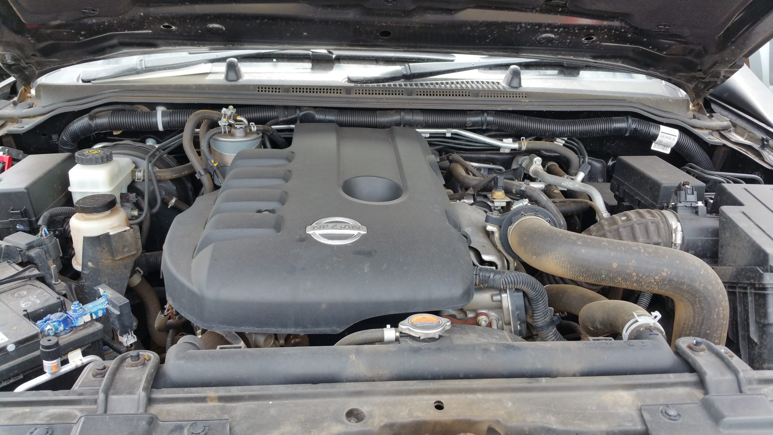 Nissan D40 Navara Engine